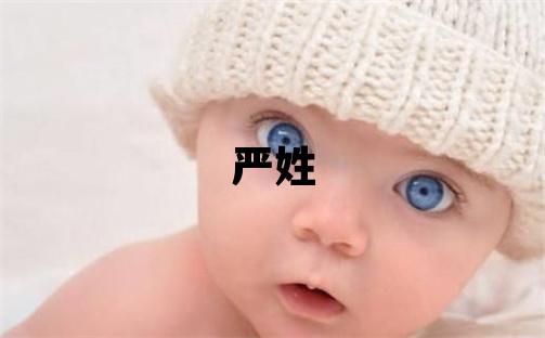 严姓大气文雅的男宝宝名字