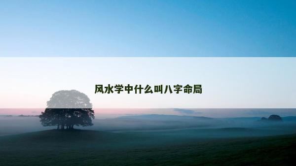 风水学中什么叫八字命局