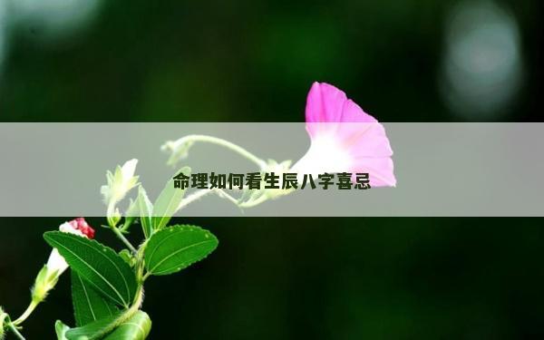 命理如何看生辰八字喜忌