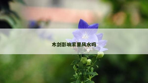 木剑影响家里风水吗