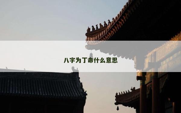 八字为丁命什么意思