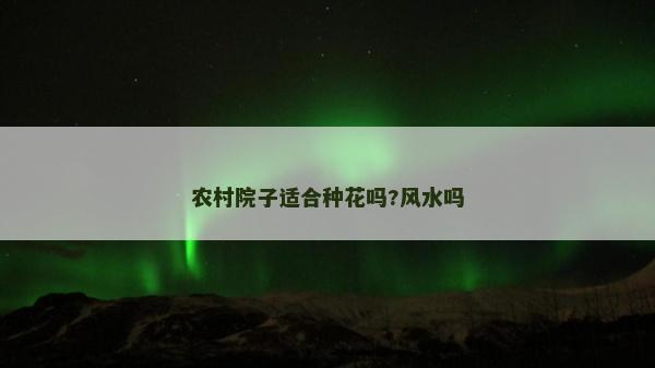 农村院子适合种花吗?风水吗