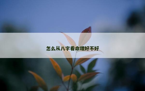怎么从八字看命理好不好