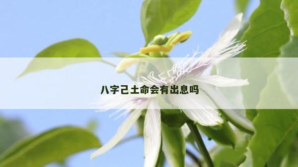 八字己土命会有出息吗