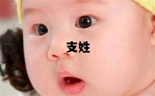 支姓有创意的女孩名字