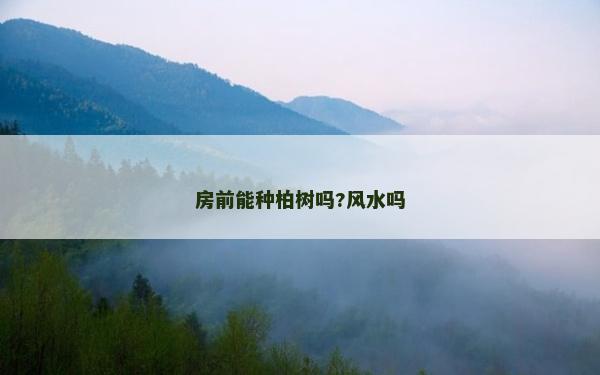 房前能种柏树吗?风水吗