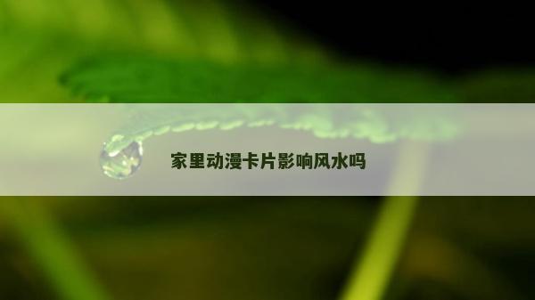 家里动漫卡片影响风水吗