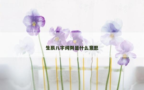 生辰八字纯阴是什么意思