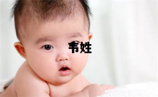 韦姓有诗意的男孩名字,取什么名字好