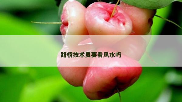 路桥技术员要看风水吗