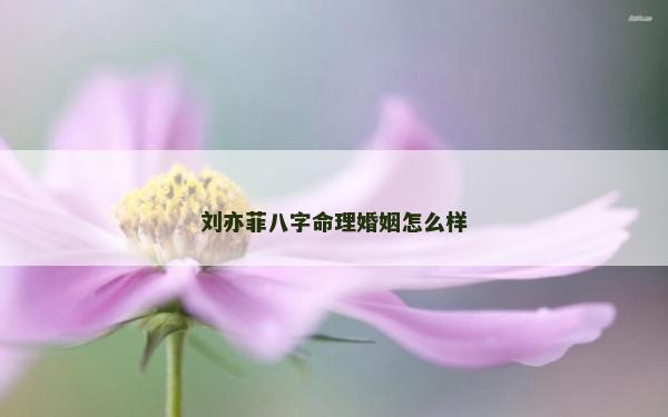 刘亦菲八字命理婚姻怎么样