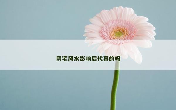 阴宅风水影响后代真的吗