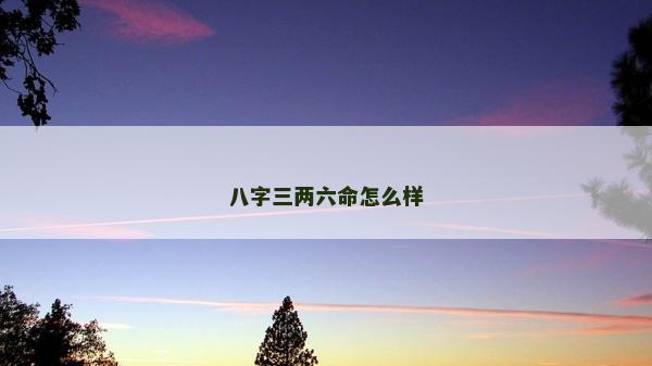 八字三两六命怎么样