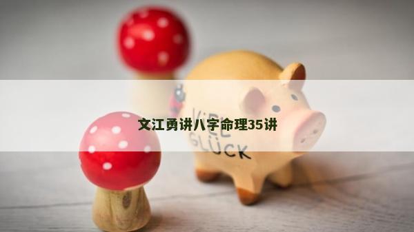 文江勇讲八字命理35讲