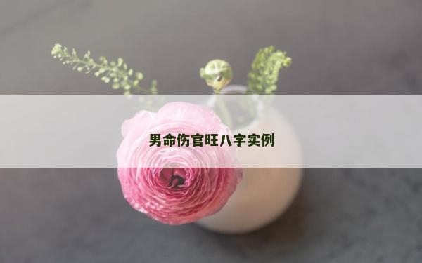 男命伤官旺八字实例
