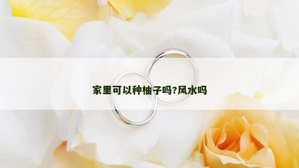 家里可以种柚子吗?风水吗