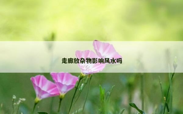 走廊放杂物影响风水吗