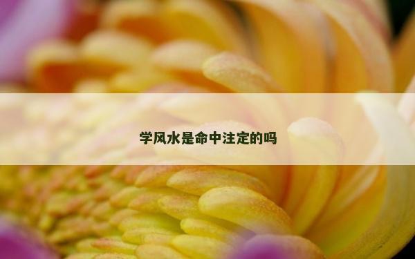 学风水是命中注定的吗