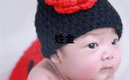 姓金叫什么名字好 姓金的男孩有智慧才气的名字