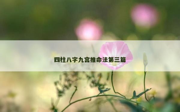 四柱八字九宫推命法第三篇
