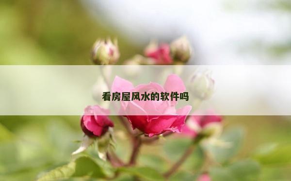 看房屋风水的软件吗