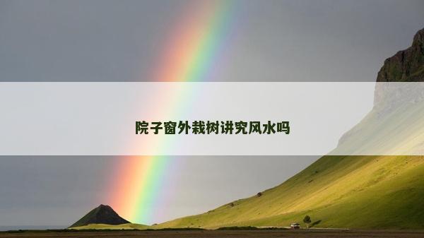 院子窗外栽树讲究风水吗