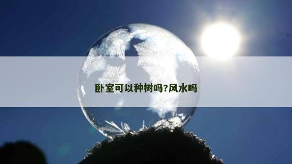 卧室可以种树吗?风水吗