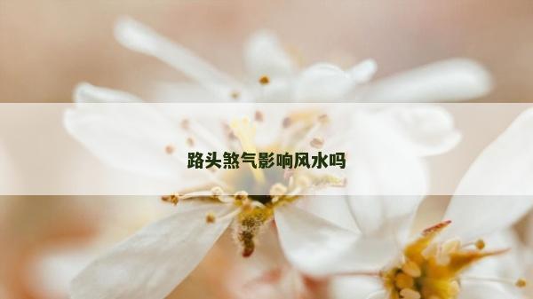 路头煞气影响风水吗