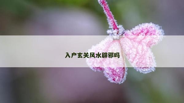 入户玄关风水辟邪吗