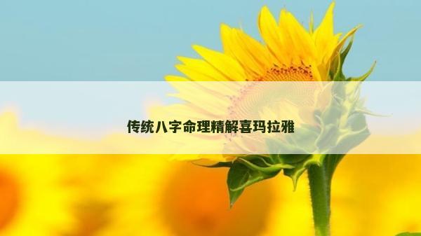 传统八字命理精解喜玛拉雅