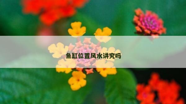 鱼缸位置风水讲究吗