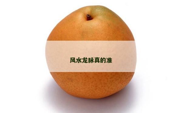 风水龙脉真的准