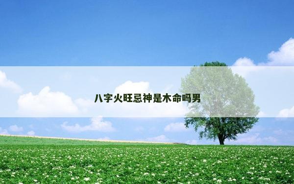 八字火旺忌神是木命吗男