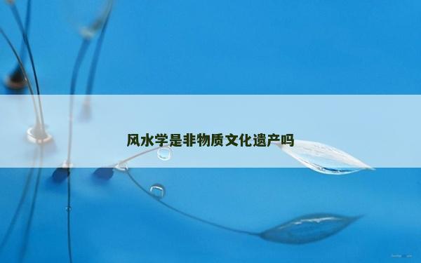 风水学是非物质文化遗产吗