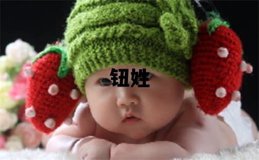 钮姓有灵气的男孩名字,取什么名字好