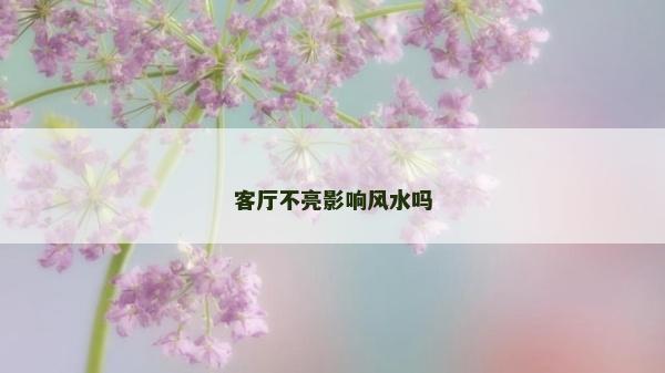 客厅不亮影响风水吗