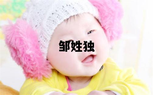邹姓独特优美的女孩名字