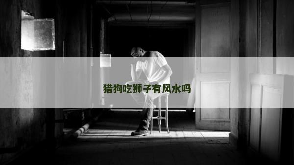 猎狗吃狮子有风水吗