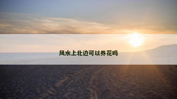风水上北边可以养花吗