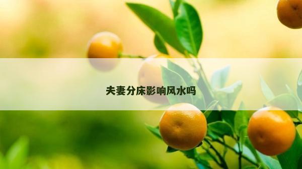 夫妻分床影响风水吗