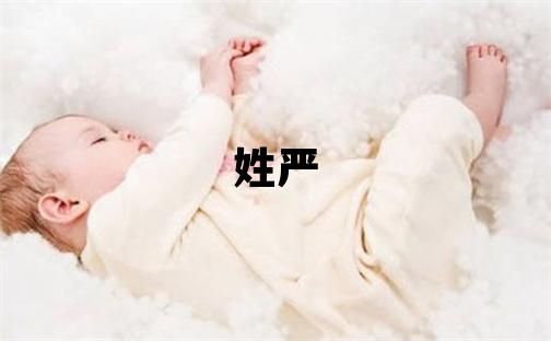 姓严叫什么名字好 姓严的男孩有智慧才气的名字