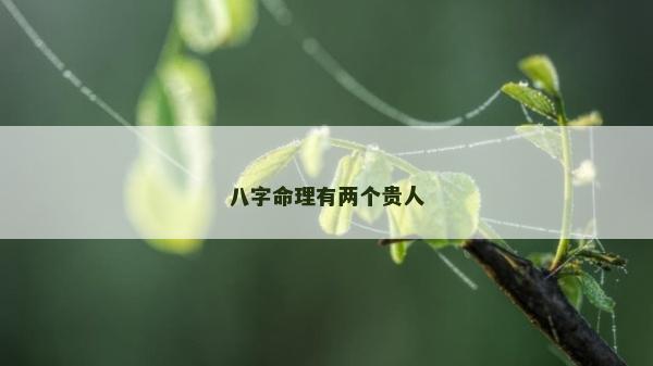 八字命理有两个贵人