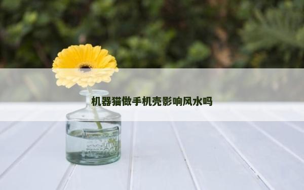机器猫做手机壳影响风水吗