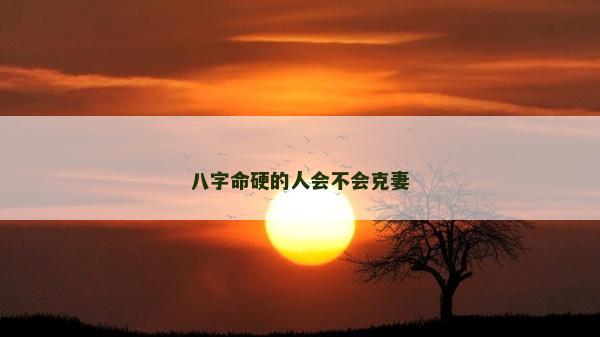 八字命硬的人会不会克妻