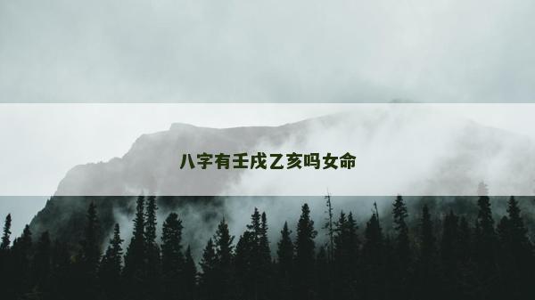 八字有壬戌乙亥吗女命