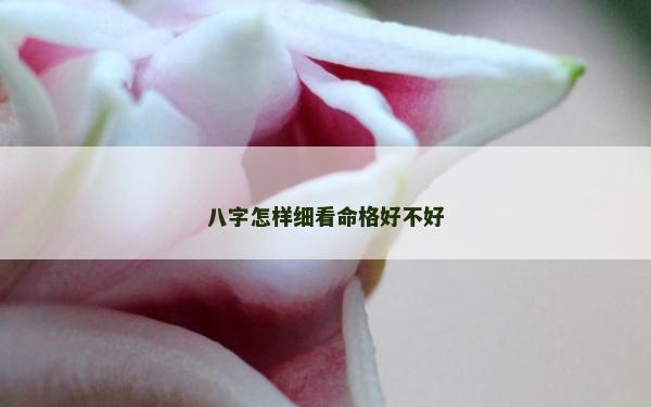 八字怎样细看命格好不好