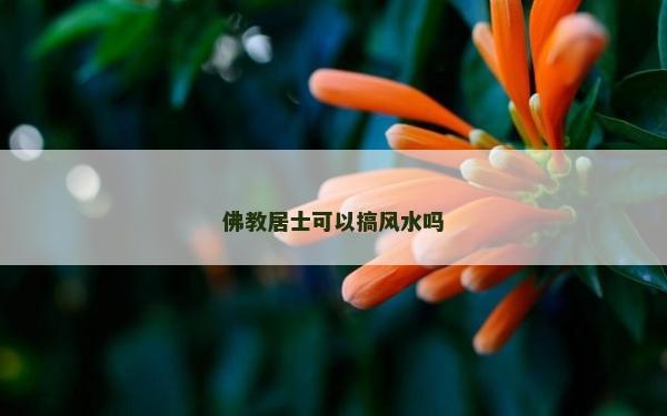 佛教居士可以搞风水吗