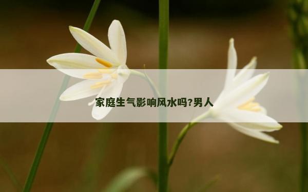 家庭生气影响风水吗?男人