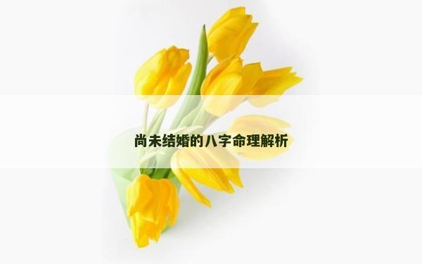 尚未结婚的八字命理解析