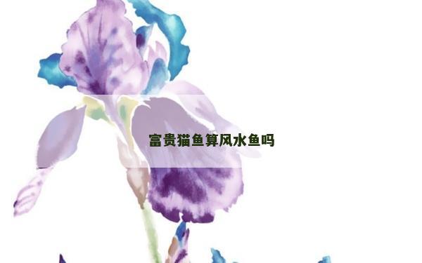 富贵猫鱼算风水鱼吗